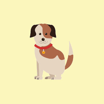 Looking for full time helper who loves pets in Happy Valley